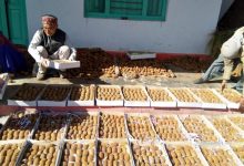 पलायन से प्रगति की ओर बढ़ता बागेश्वर: रिवर्स माइग्रेशन बना युवाओं और किसानों की नई ताकत migration-from-bageshwar-is-on-the-decline
