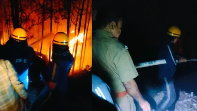 Uttarkashi के जंगल में लगी भीषण आग, 70 यात्रियों को सुरक्षित निकाला बाहर uttarkashi-uttarakhand-forest-fire